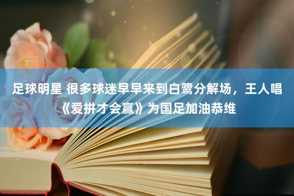 足球明星 很多球迷早早来到白鹭分解场，王人唱《爱拼才会赢》为国足加油恭维