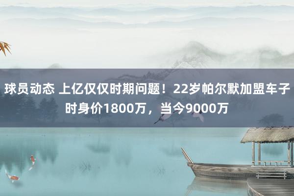 球员动态 上亿仅仅时期问题！22岁帕尔默加盟车子时身价1800万，当今9000万