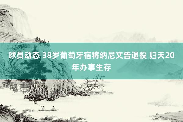 球员动态 38岁葡萄牙宿将纳尼文告退役 归天20年办事生存