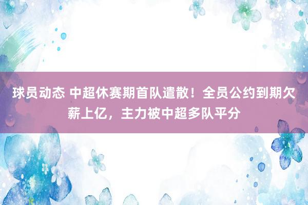 球员动态 中超休赛期首队遣散！全员公约到期欠薪上亿，主力被中超多队平分